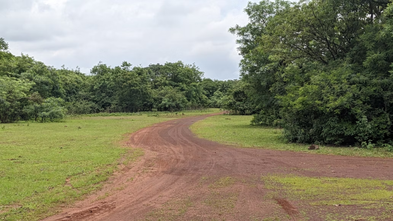 Credit-Unsplash of Ananthagiri Hills