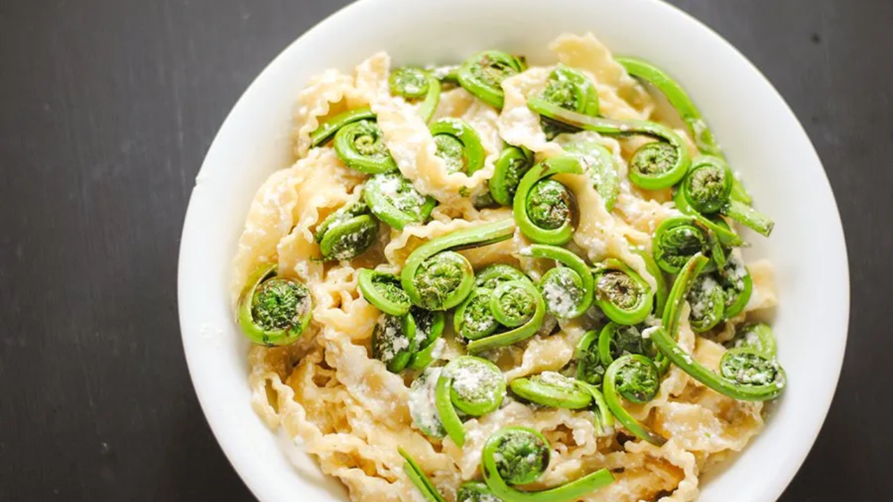 Fiddlehead pasta