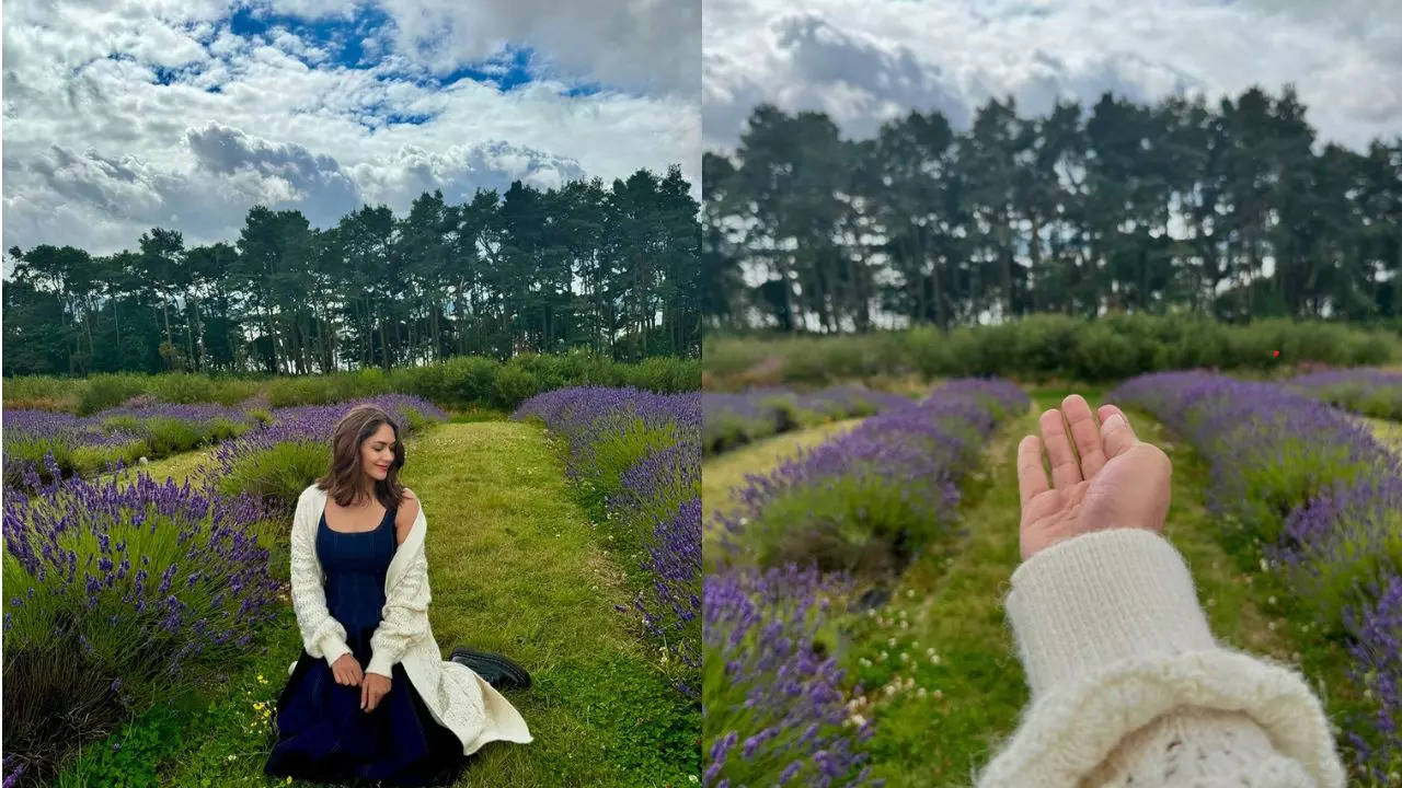 Lavender farms in Edinburgh