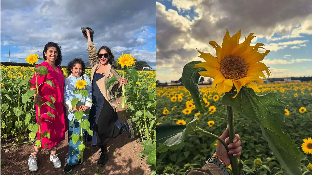 Sunflower Trails at Balgone Estate