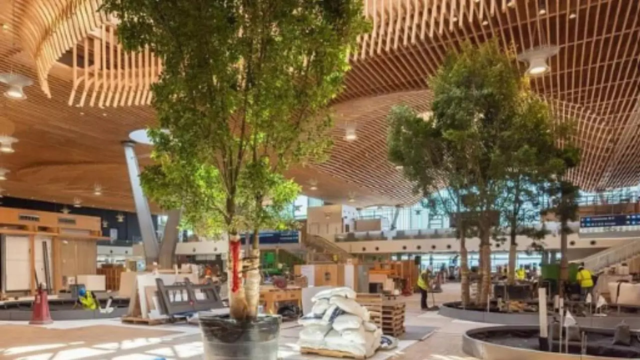 This airport is home to a forest and friendly therapy animals. Learn more