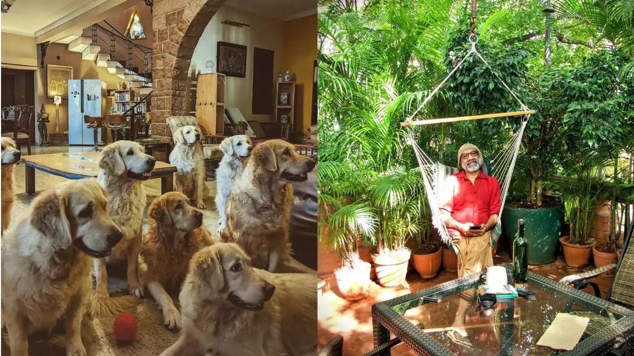 International Dog Day: This earthy Airbnb in Bengaluru has 6 amazing hosts