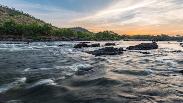 Cauvery Wildlife Sanctuary, Karnataka | (image:)