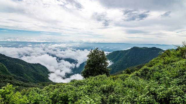 Mussoorie | known as the "Queen of the hills," It offers a charming mountain backdrop for weddings with its misty mountains and panoramic views. Its cool climate and colonial architecture provide a romantic and elegant setting for couples looking to celebrate amidst nature. (Image: Shutterstock)