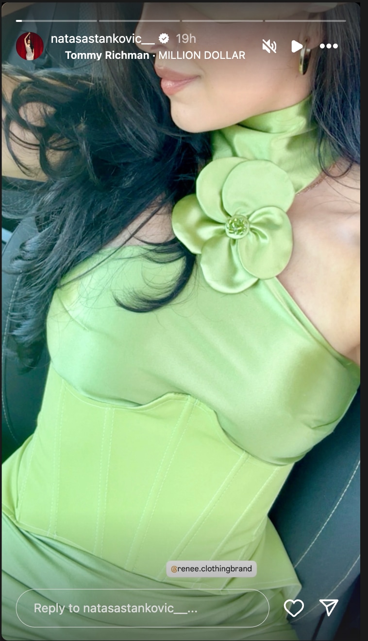 Natasa uploaded an Instagram story wearing an elegant green corset dress. (Instagram/@natasastankovic__)