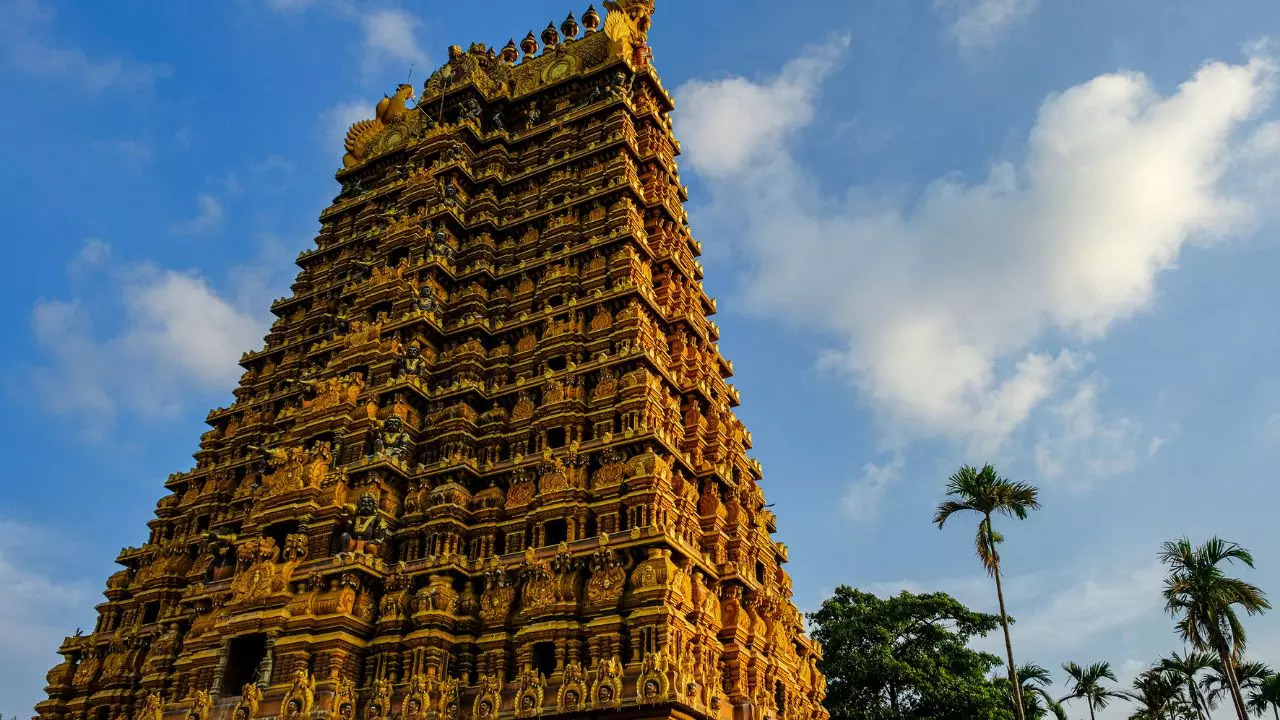 You can now fly from Chennai to Sri Lanka in 75 minutes! Credit: Canva