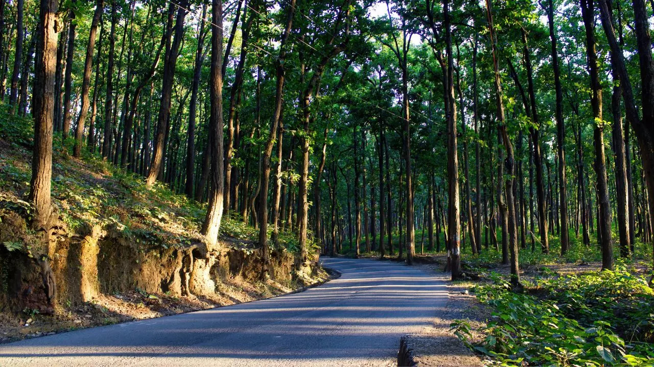 Get ready to travel from Delhi to Dehradun in just 2.5 hours. Credit: Canva