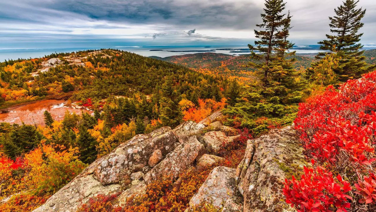 Acadia National Park Maine Credit Canva